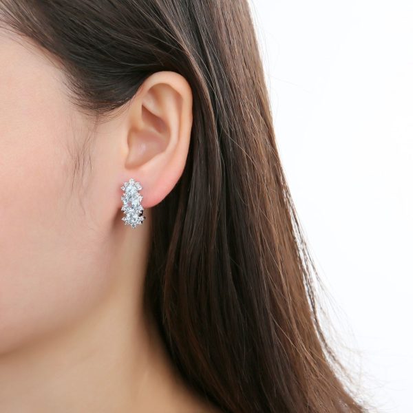 Gemstone Earrings-C1132E3 - 图片 4