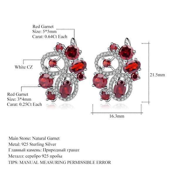 Gemstone Earrings-SCY047E3 - 图片 2