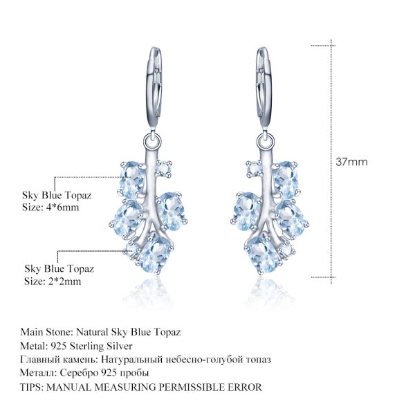 Gemstone Earrings-SCY016E8 - 图片 2