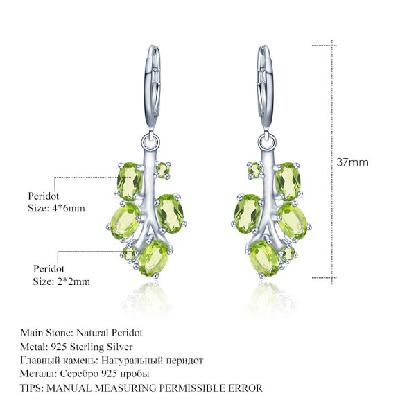 Gemstone Earrings-SCY016E8 - 图片 3