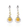 Gemstone Earrings-C9381ECZY